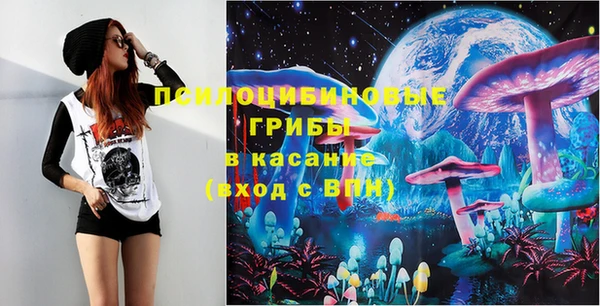 ECSTASY Алзамай