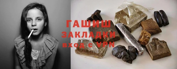 мет Алексин