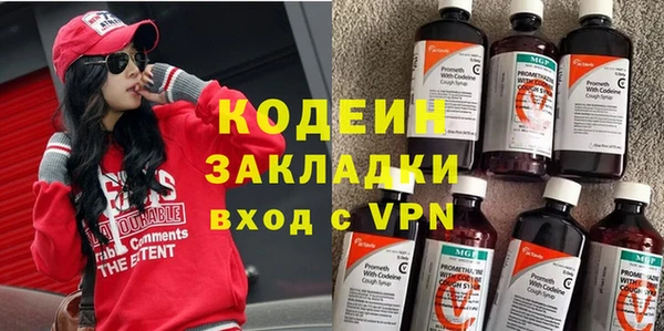ECSTASY Алзамай