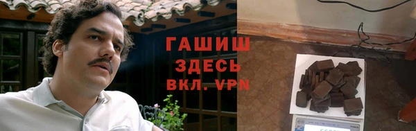 мет Алексин