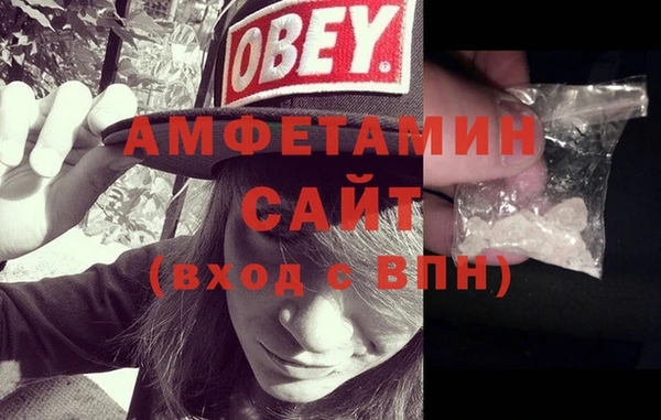 ECSTASY Алзамай