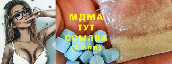 ECSTASY Алзамай