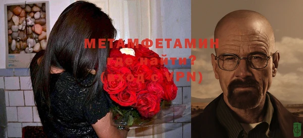 мет Алексин
